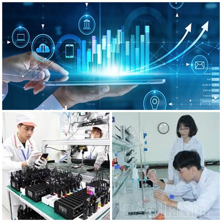 Nhân rộng các mô hình kinh tế xanh, kinh tế tuần hoàn và chuyển đổi số