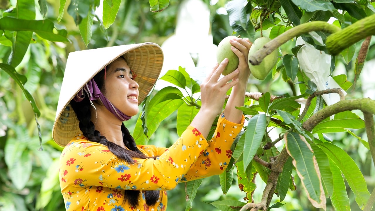 BÀI VIẾT 